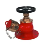 Fire Hydrant Landing Valve