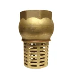 Foot Valve