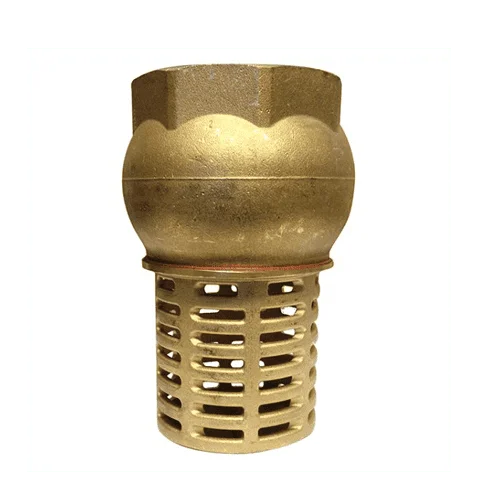 Foot Valve